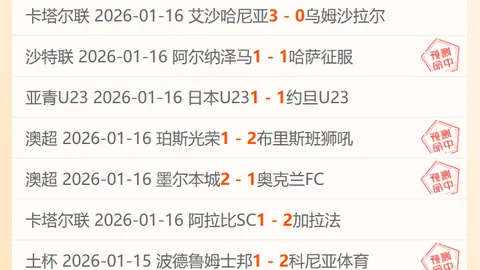 勒沃库森逆袭成功，卡皮耶致胜一击击败莱比锡